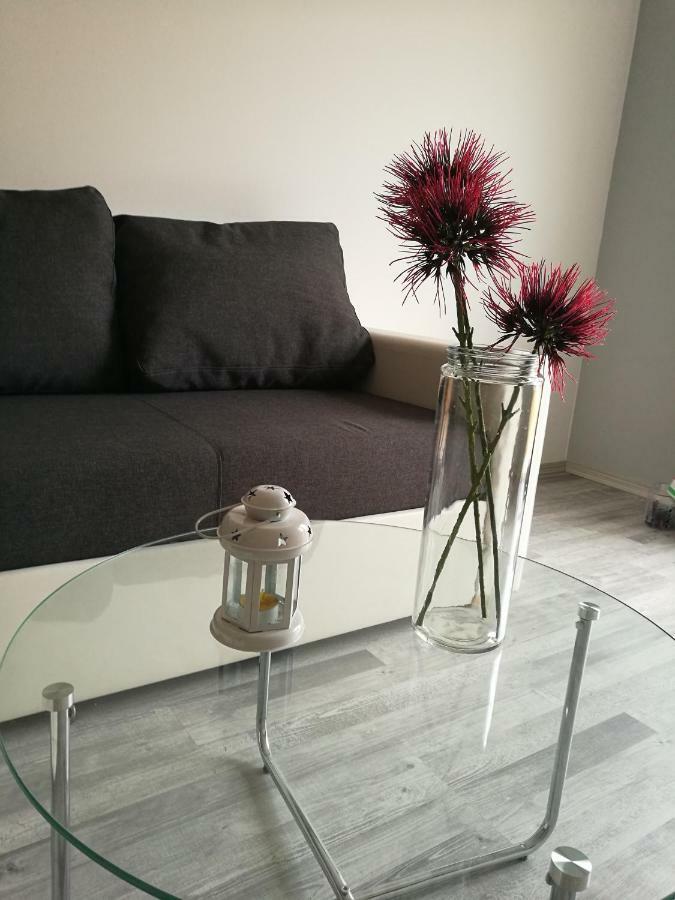 PUY Apartman Ivankovic*** מראה חיצוני תמונה
